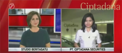 Sapibajuputih