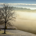 Fog to clear   banner
