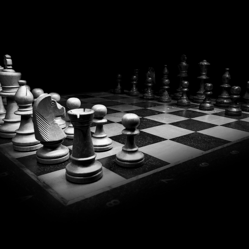 Felix mittermeier chess banner