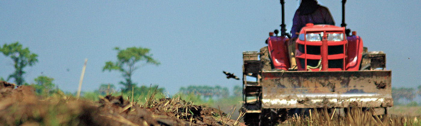 Plantation sector outlook cover