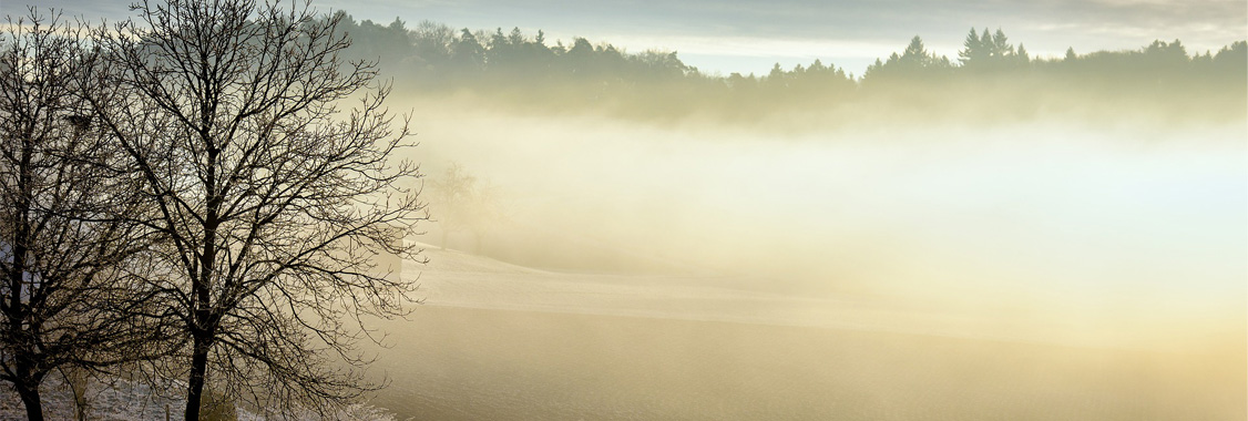 Fog to clear   cover