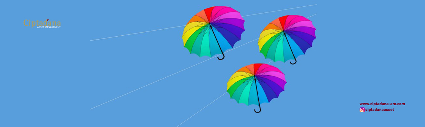 Umbrella   cover
