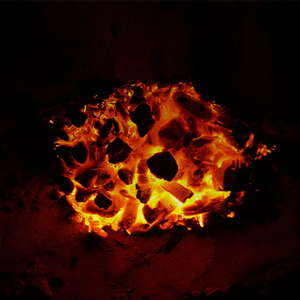 Coal 4200