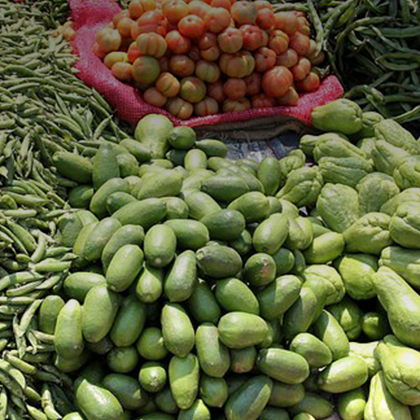 Traditional market 420